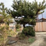 川辺土地（354－2外2筆） 画像4