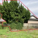 紀美野町下佐々土地 画像5