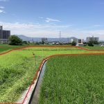 岩出市山農地 画像4