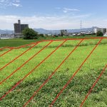 岩出市山農地 画像3