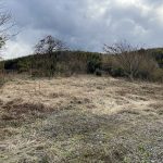 貴志川町長山農地 画像4